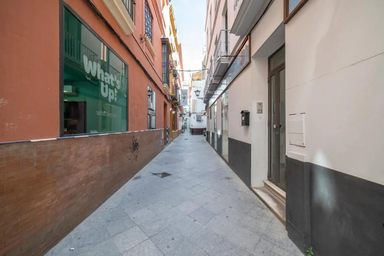 Apartament Alohamundi Olavide Sewilla